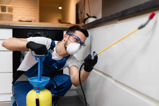 Best Local Pest Control Services  in Hometown, IL