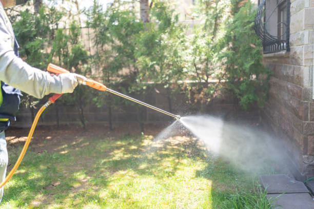 Trusted Hometown, IL Pest Control Experts