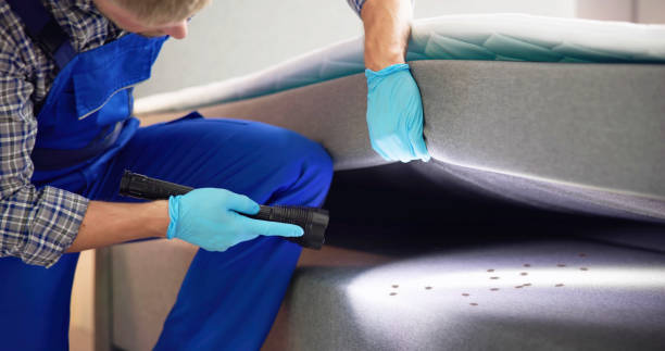Best Rat Extermination Near Me  in Hometown, IL