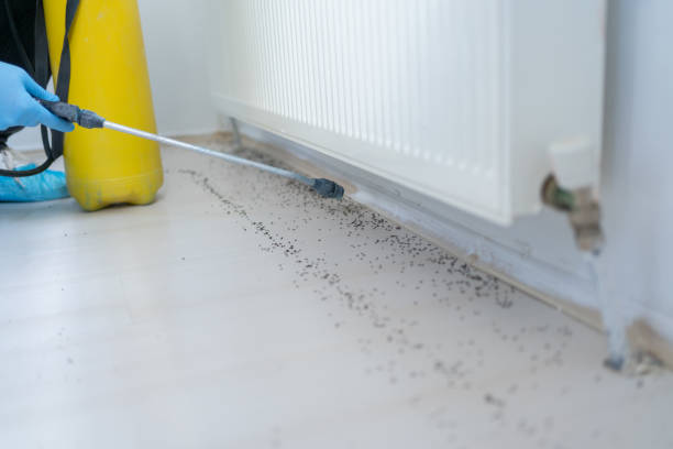 Best Exterminator Services  in Hometown, IL
